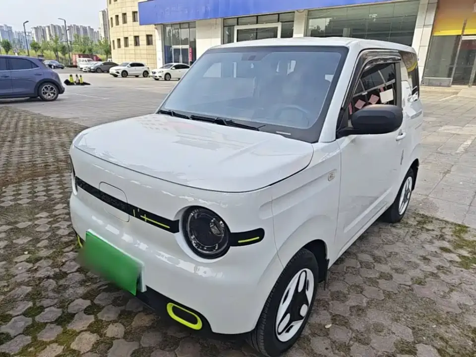 Geely Galaxy Panda Panda mini 210km Vitality Bear 2025
