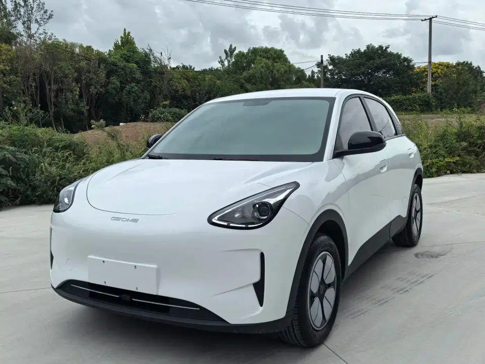 Geely Galaxy Starry Wish 310km Youth Edition 2025