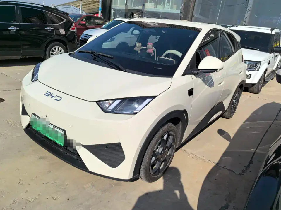 BYD Seagull Smart Drive Edition 305km Freedom Version 2026