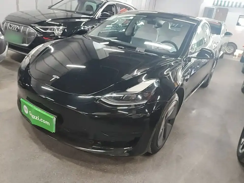 Tesla Model 3 Model Rear-Wheel Drive Version 2022