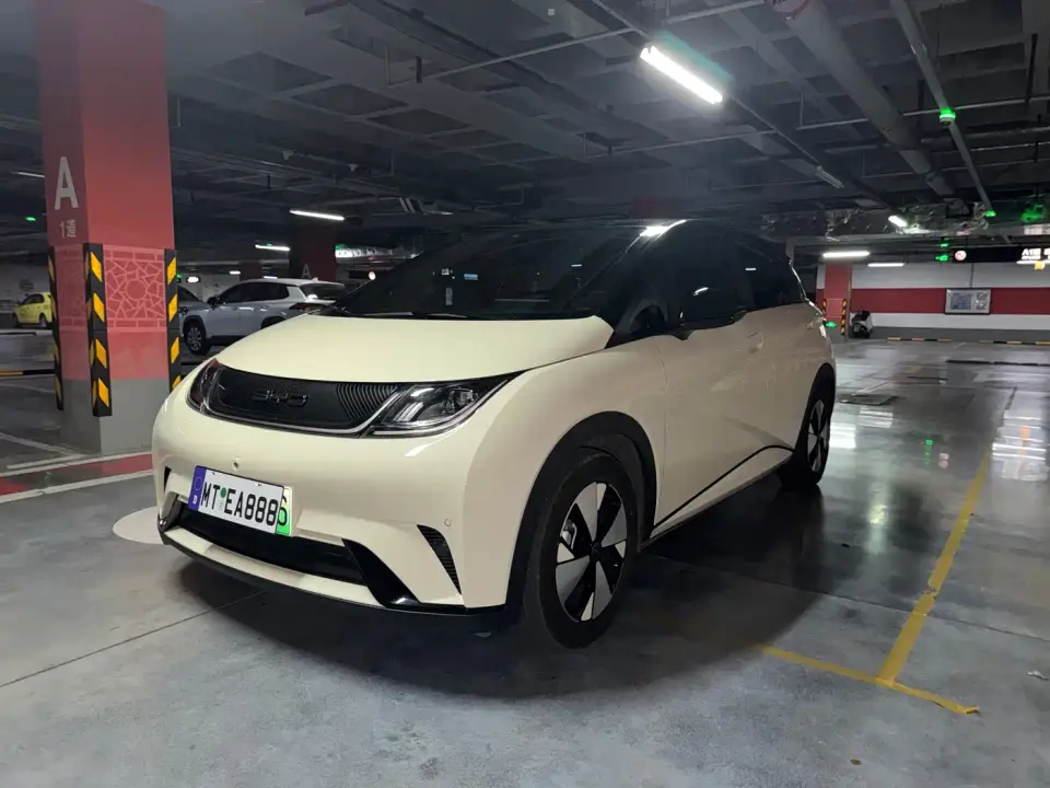 BYD Dolphin 420km Fashion Edition 2023