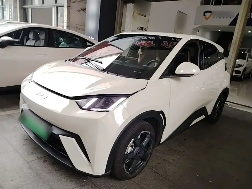 BYD Seagull Glory Edition 405km Soaring Edition 2024