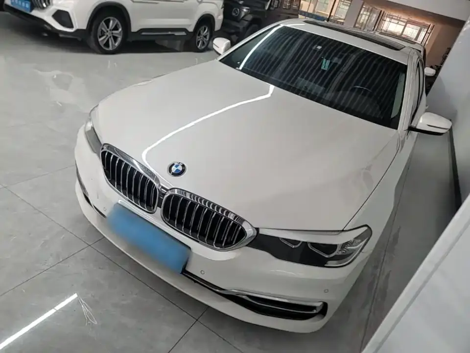 BMW 5 Series 525Li Luxury Package 2020