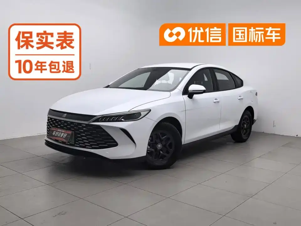 BYD Qin PLUS DM-i Smart Drive 55KM Leader 2025