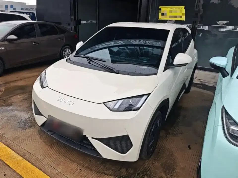BYD Seagull Smart Drive Edition 305km Vitality Version 2025
