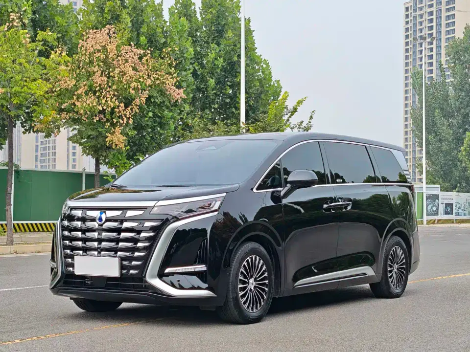 Denza D9 DM-i 980 AWD Flagship 2024