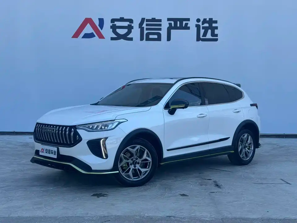 Haval Chitu Power Edition 1.5T Purple Copper Rabbit 2022