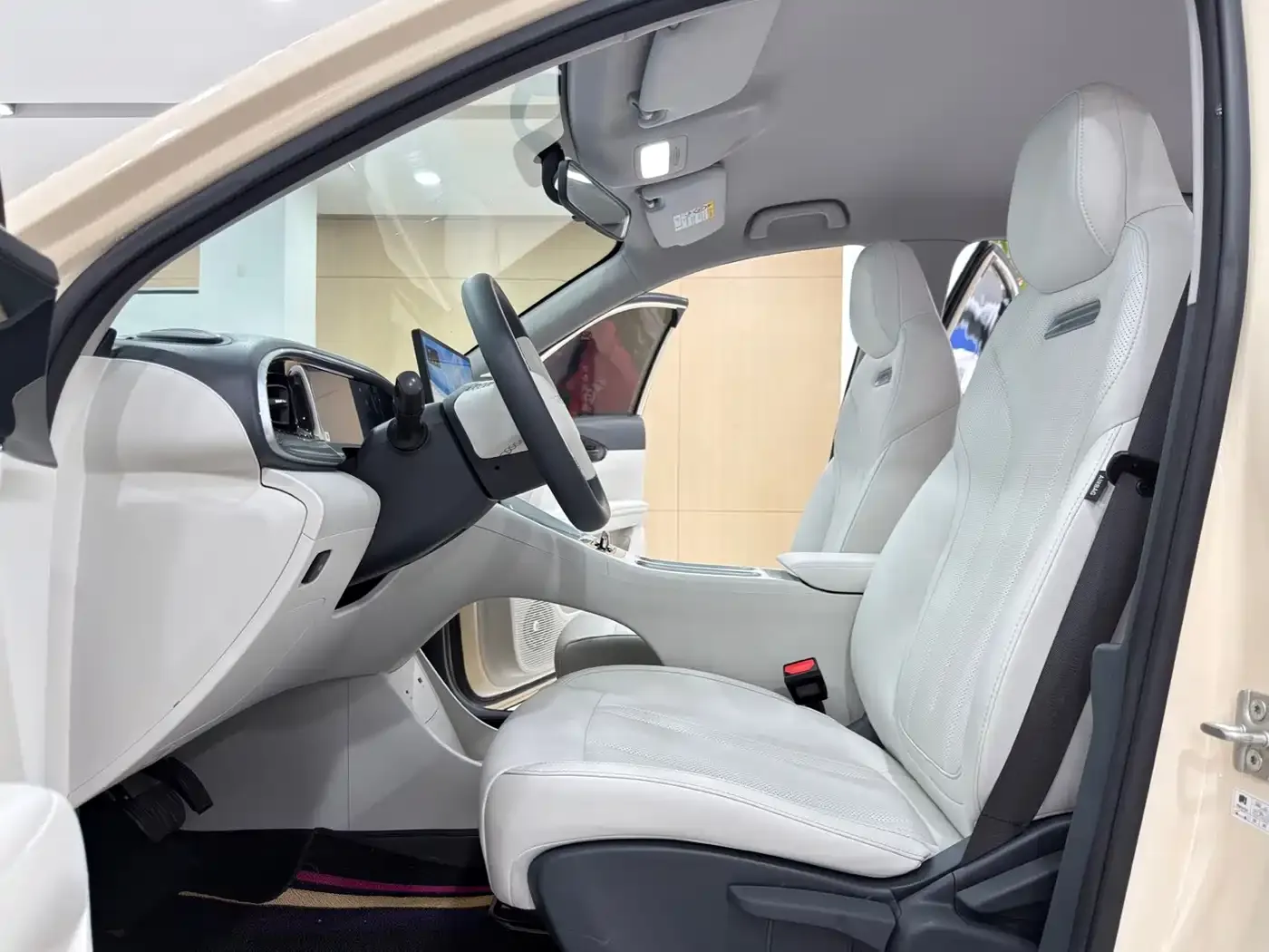 Geely Galaxy Starry Wish 310km Dream Edition 2025 — фото 10