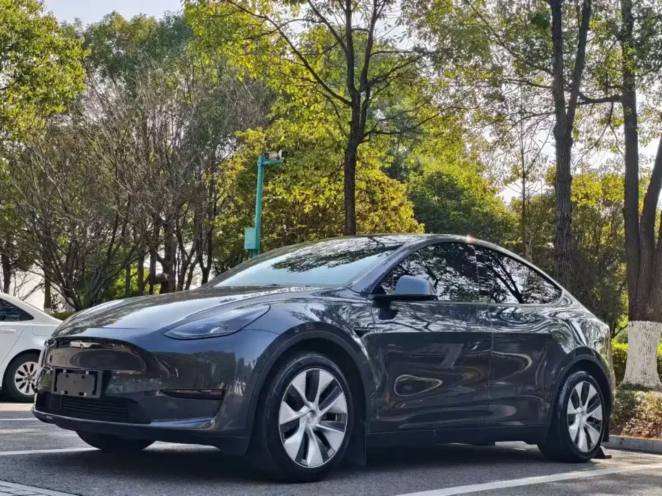 Tesla Model Y Rear-Wheel Drive Version 2022