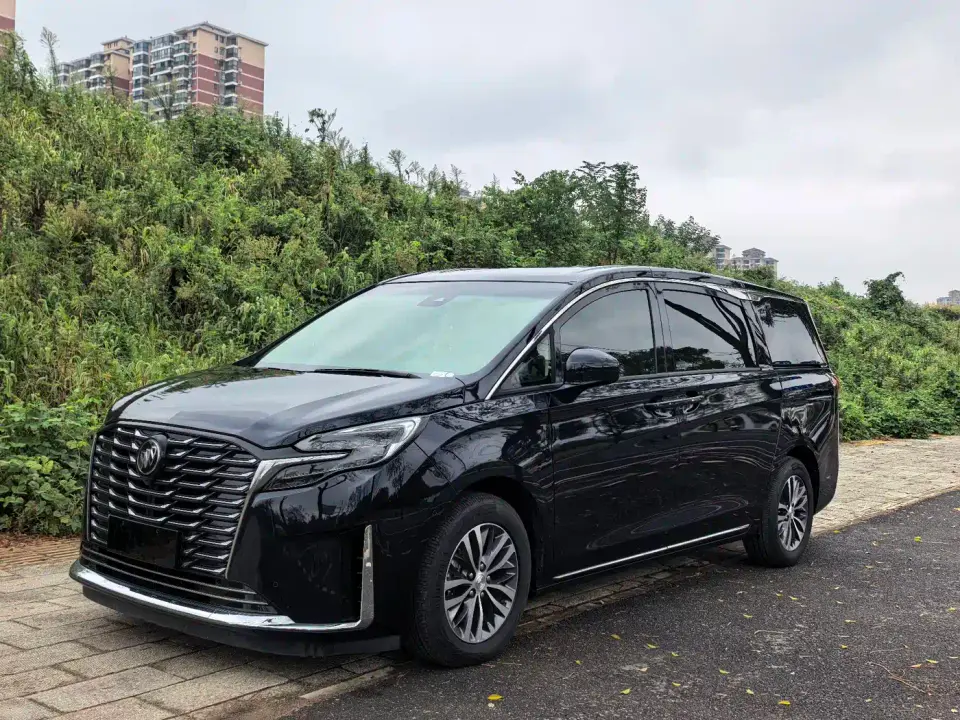 Buick GL8 ES Landmaster Exclusive 2024