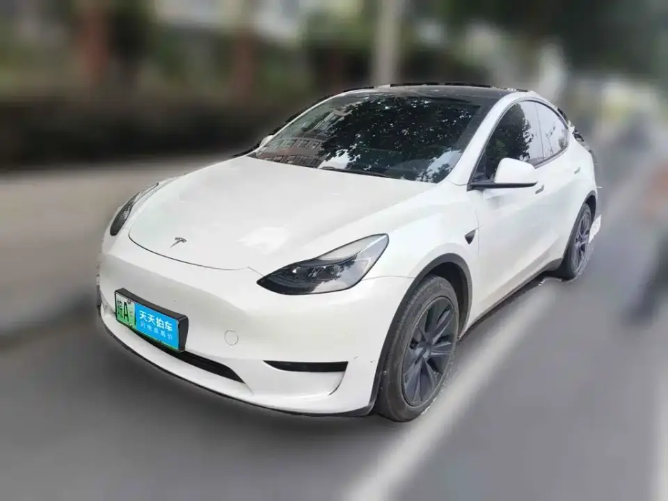 Tesla Model Y Rear-Wheel Drive Version 2024