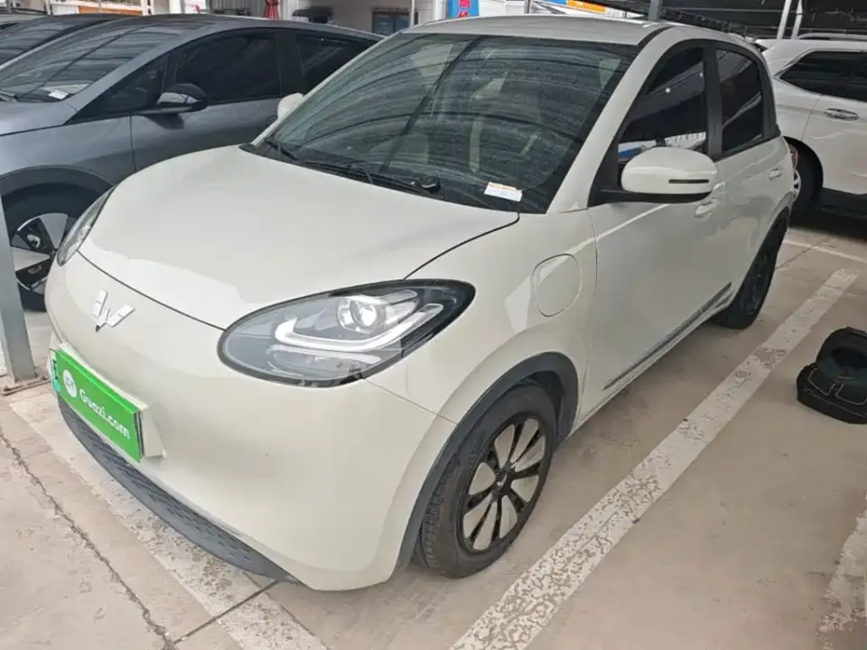 Wuling Motors Wuling Bingo 333km Quick Enjoy Version 2023