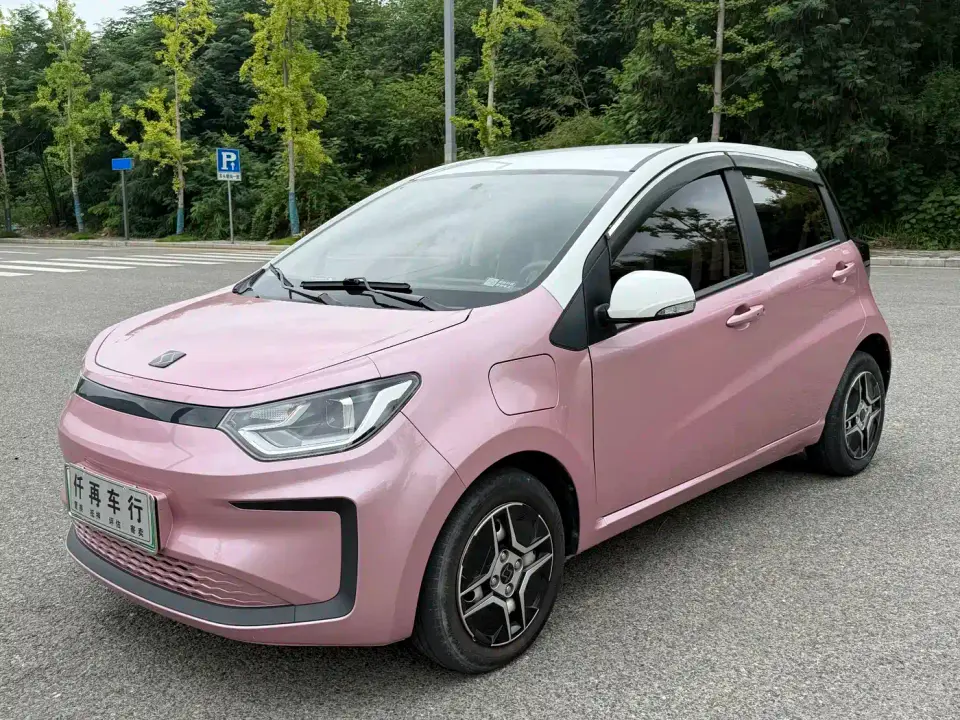 Sehol Flower Fairy 302km Luxury 30.2kWh 2021