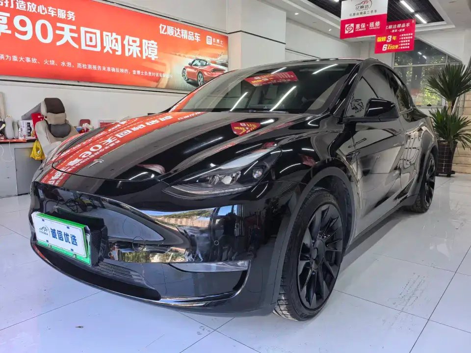 Tesla Model Y Standard Range Rear-Wheel Drive 2021