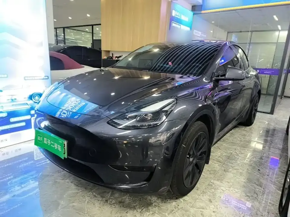 Tesla Model Y Rear-Wheel Drive Version 2024