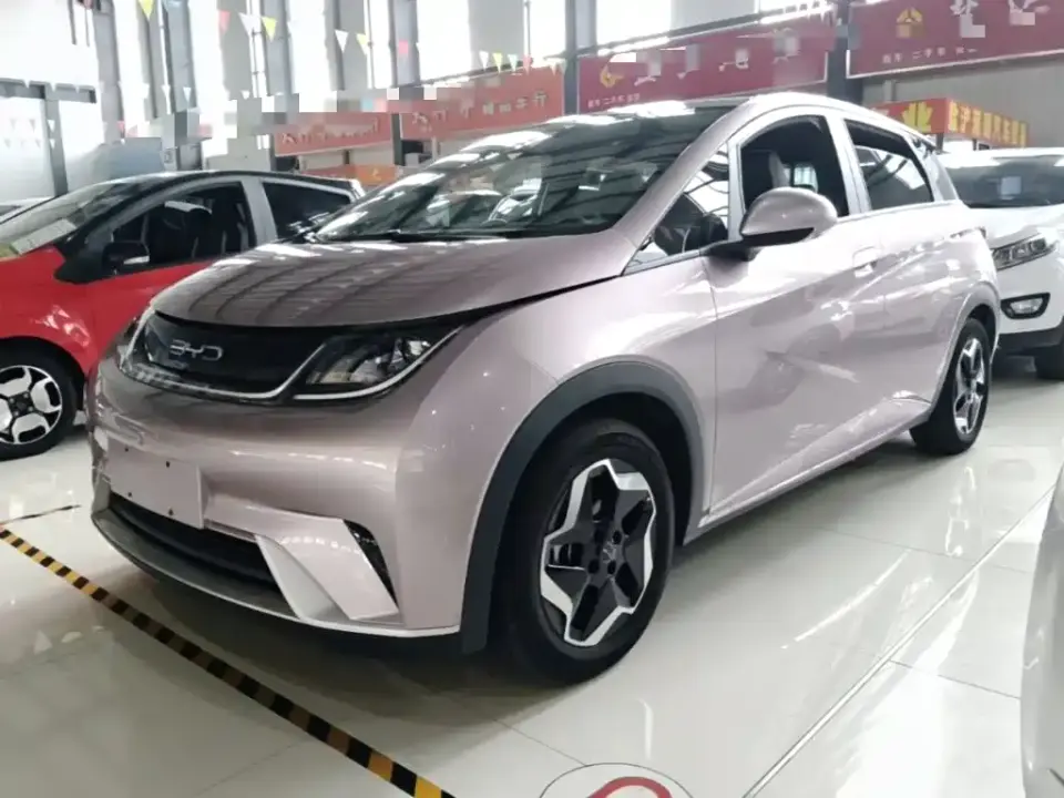 BYD Dolphin Model 405km Fashion Edition 2022