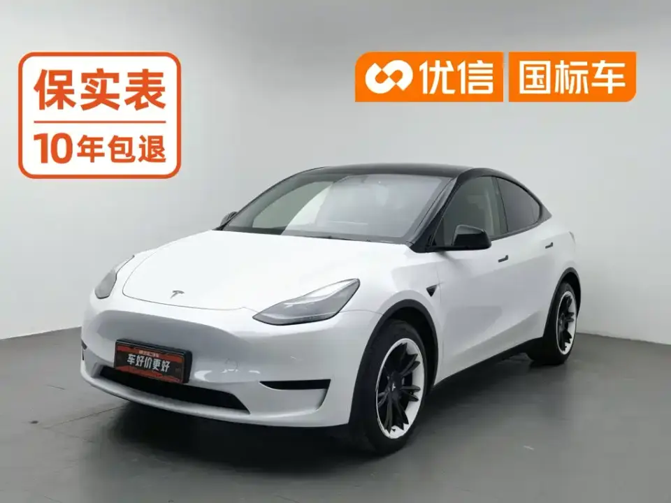 Tesla Model Y Rear-Wheel Drive Version 2024