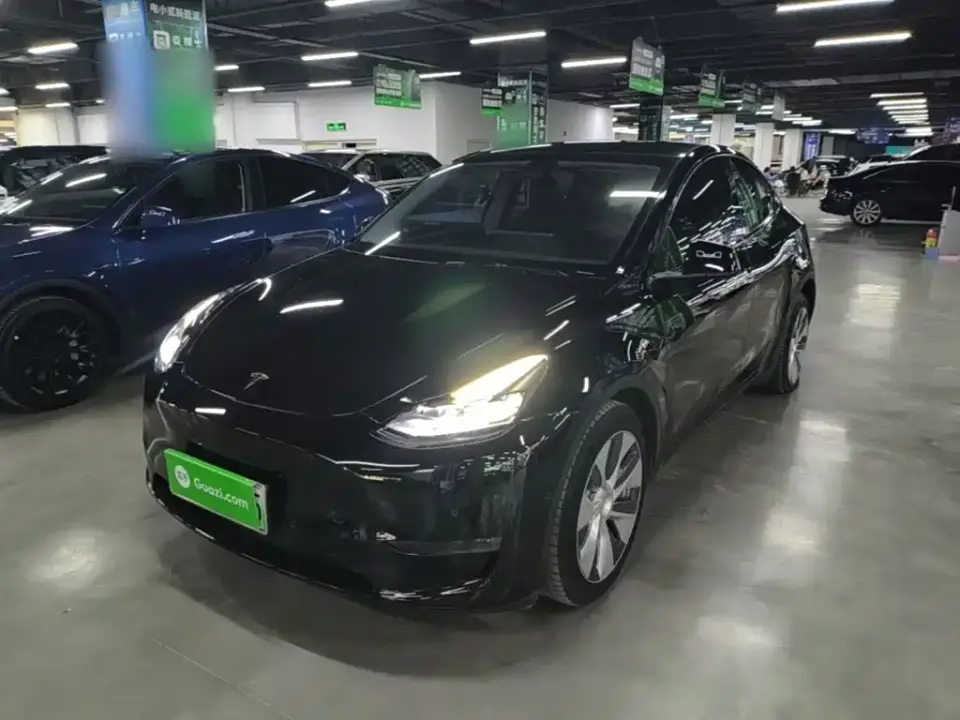 Tesla Model Y Long Range AWD 2022