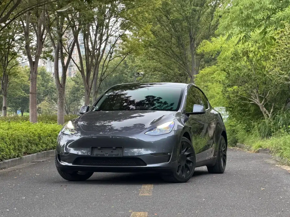 Tesla Model Y Long Range All-Wheel Drive Edition 2024