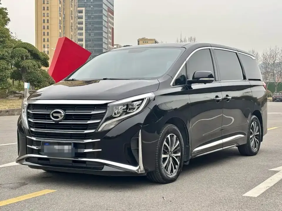 GAC Trumpchi M8 Leading Series 390T Luxury Edition 2024
