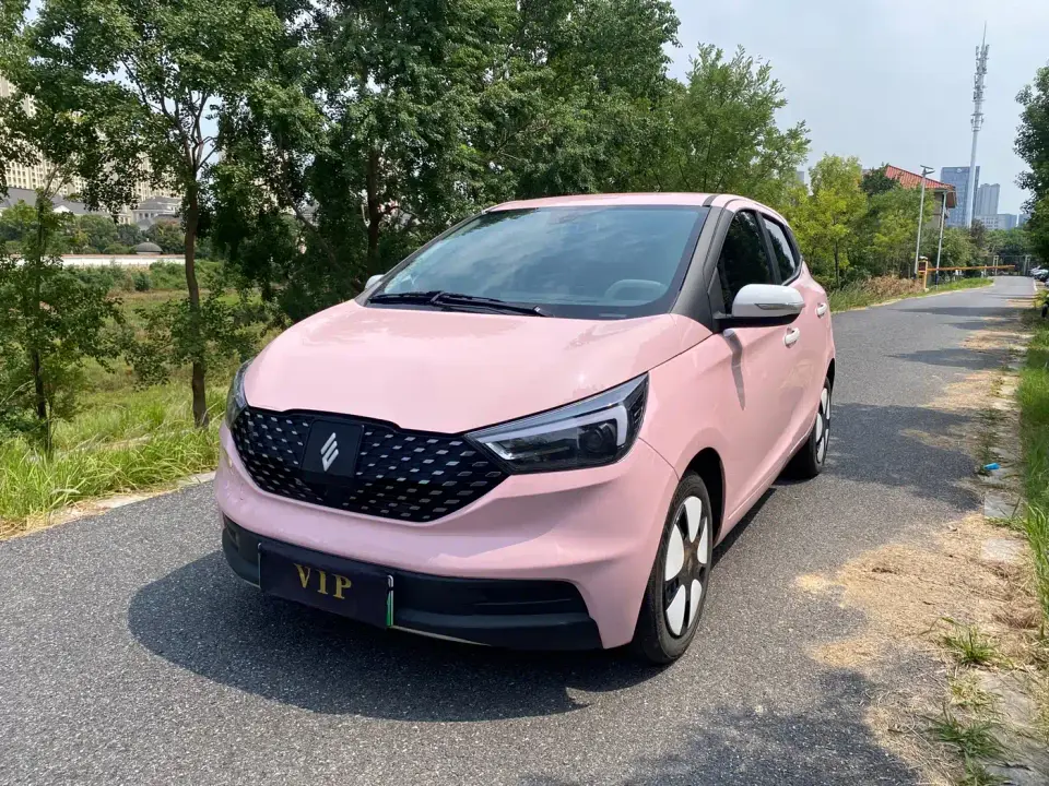 JMCG New Energy Yizhi EV3 Youth Edition 330KM Comfort 2024
