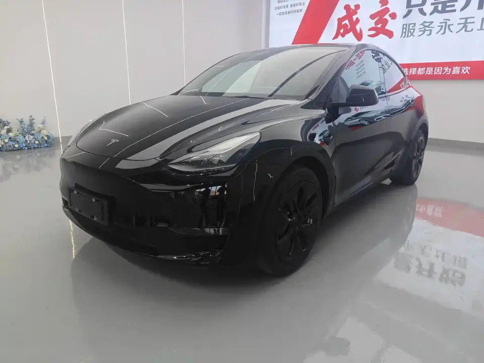 Tesla Model Y Standard Range Rear-Wheel Drive 2021
