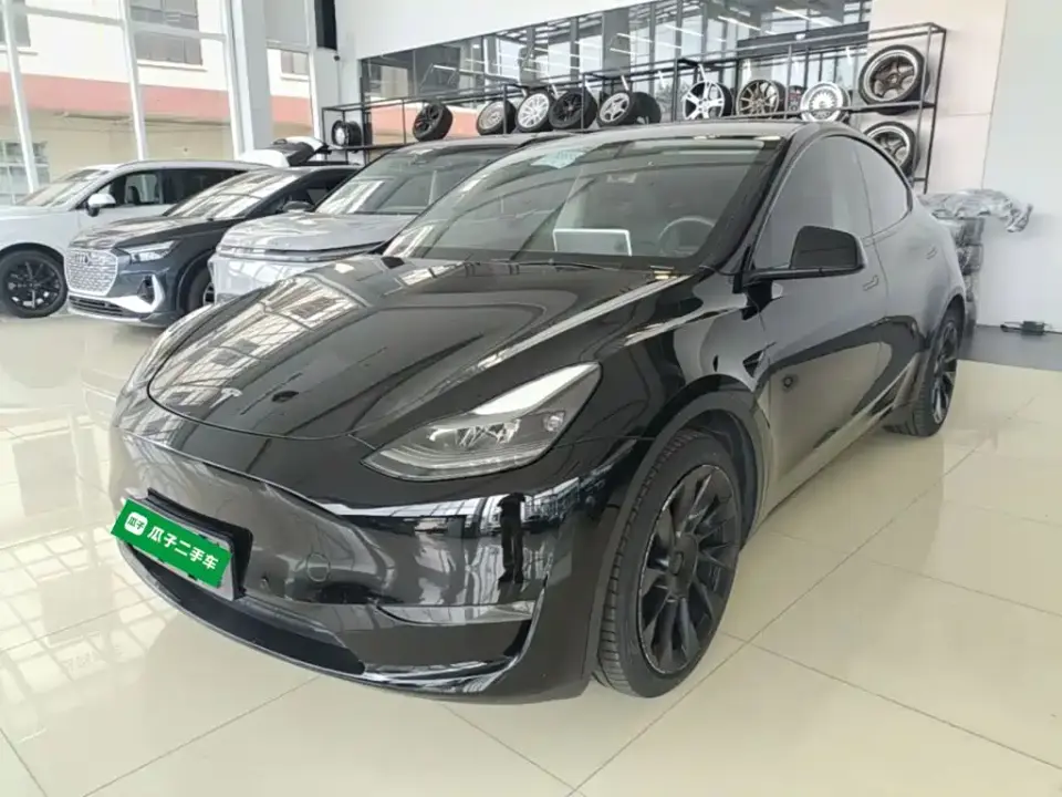 Tesla Model Y Standard Range Rear-Wheel Drive 2021