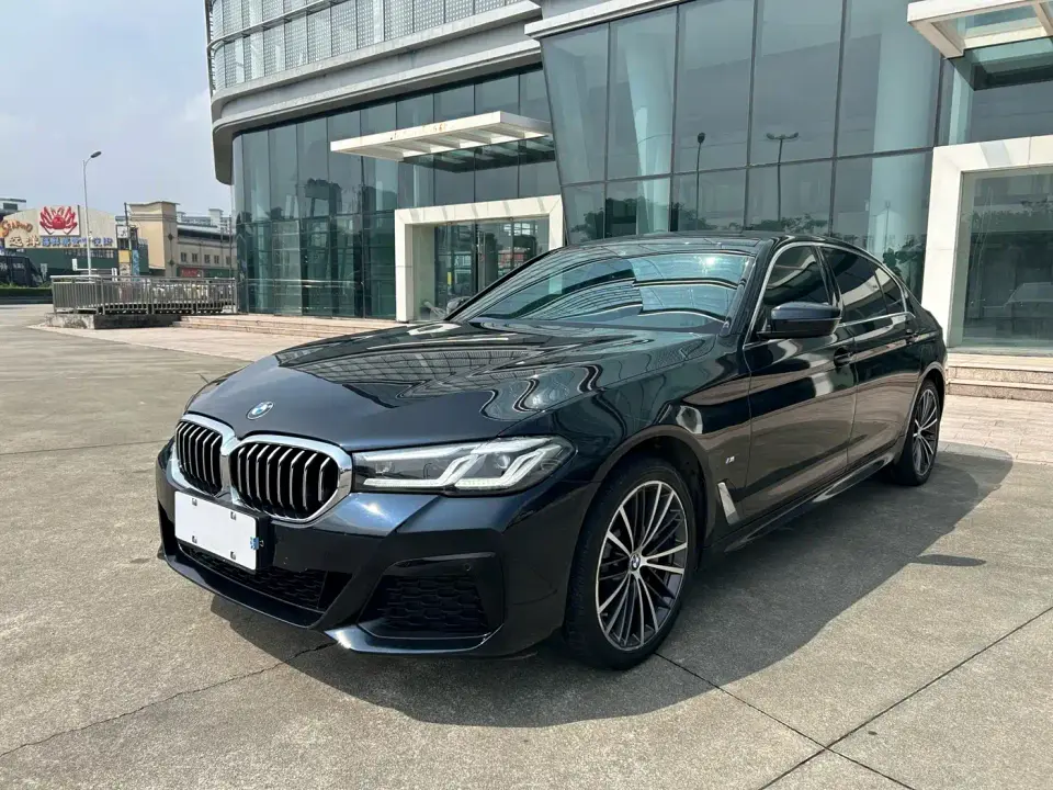 BMW 5 Series 530Li Leading M Sport Package 2020