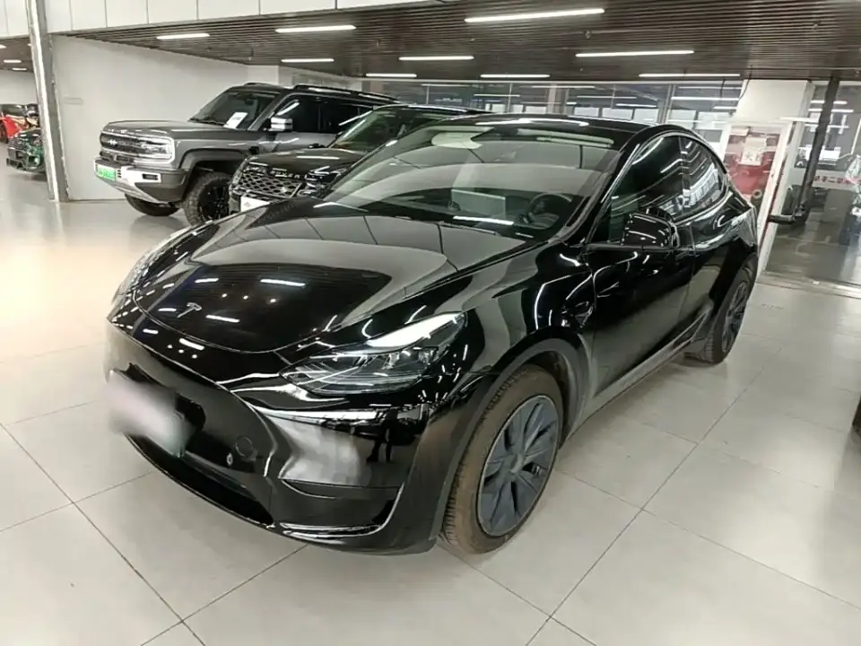 Tesla Model Y Rear-Wheel Drive Version 2024