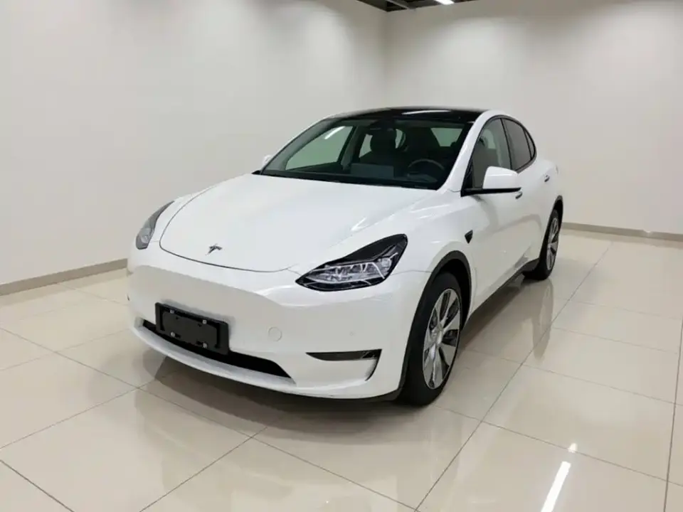 Tesla Model Y Model Long Range AWD 2021