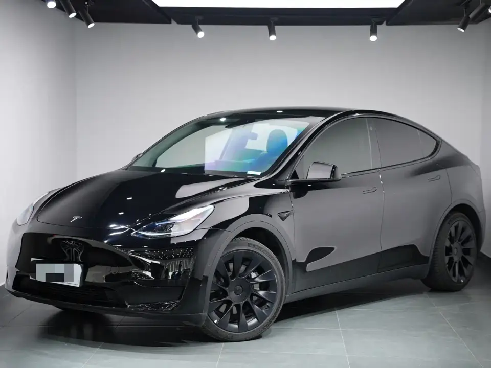 Tesla Model Y Rear-Wheel Drive Version 2022