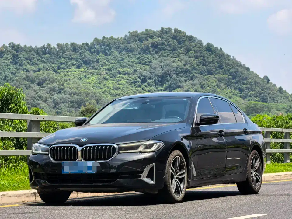 BMW 5 Series 530Li Leading Luxury Package 2021