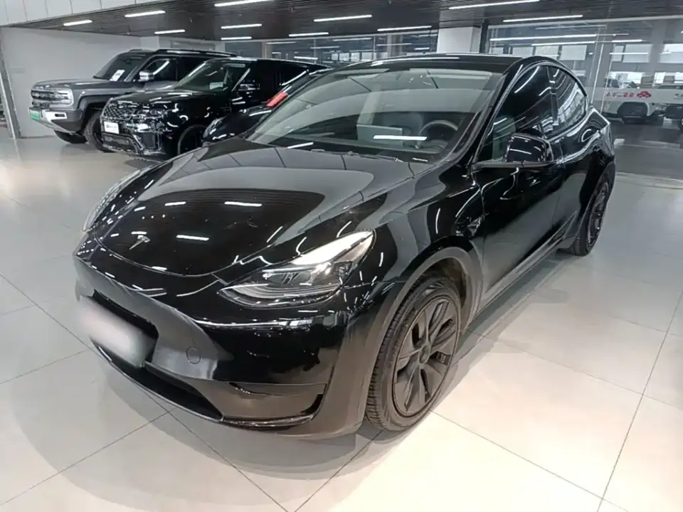 Tesla Model Y Rear-Wheel Drive Version 2024
