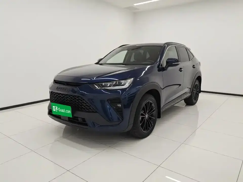 Haval H6S Model 2.0T AWD Trend Run Edition 2022