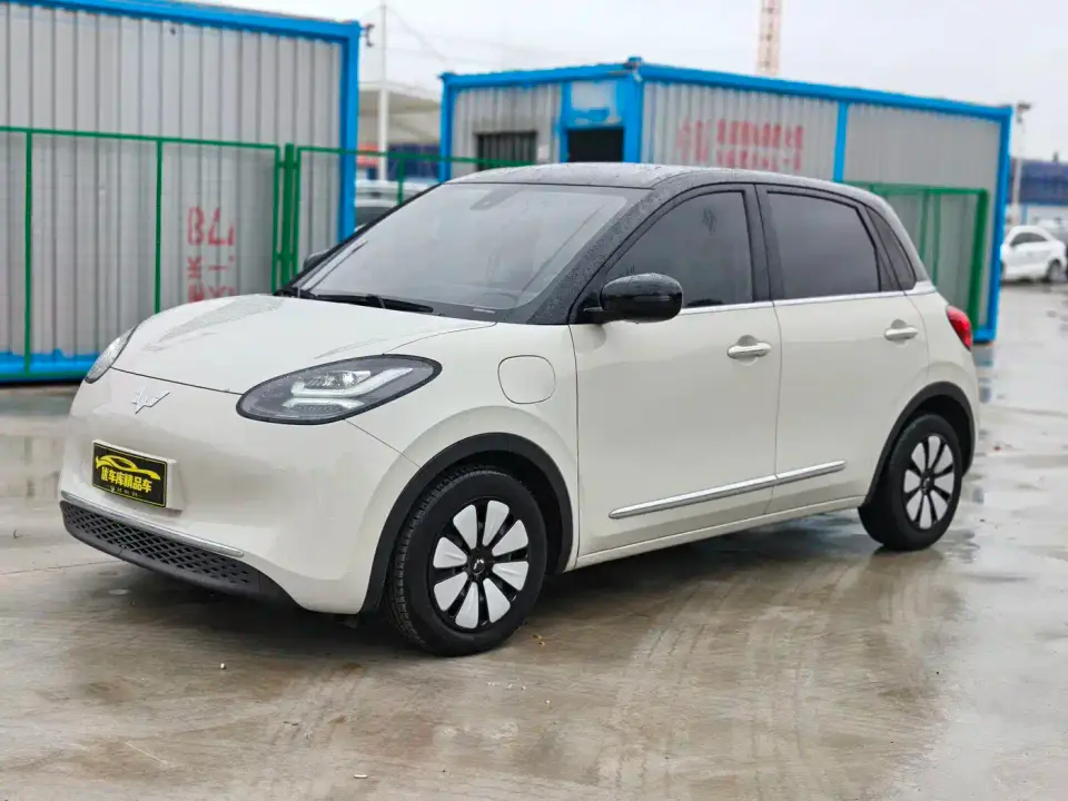 Wuling Motors Wuling Bingo Model 333km Telepathic Connect+ Version 2023
