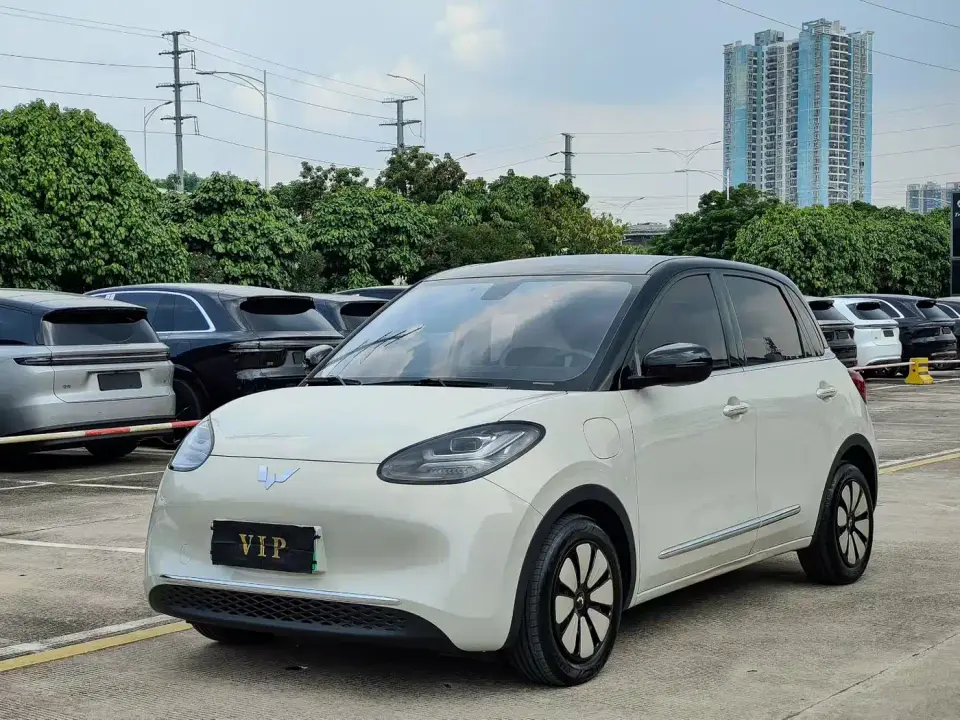 Wuling Motors Wuling Bingo 410km Lingxi Premium Edition 2024