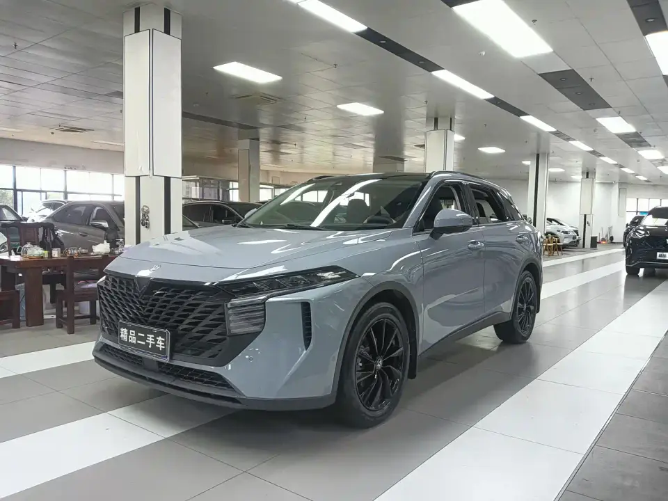 Venucia Big V 260T King Edition 2023