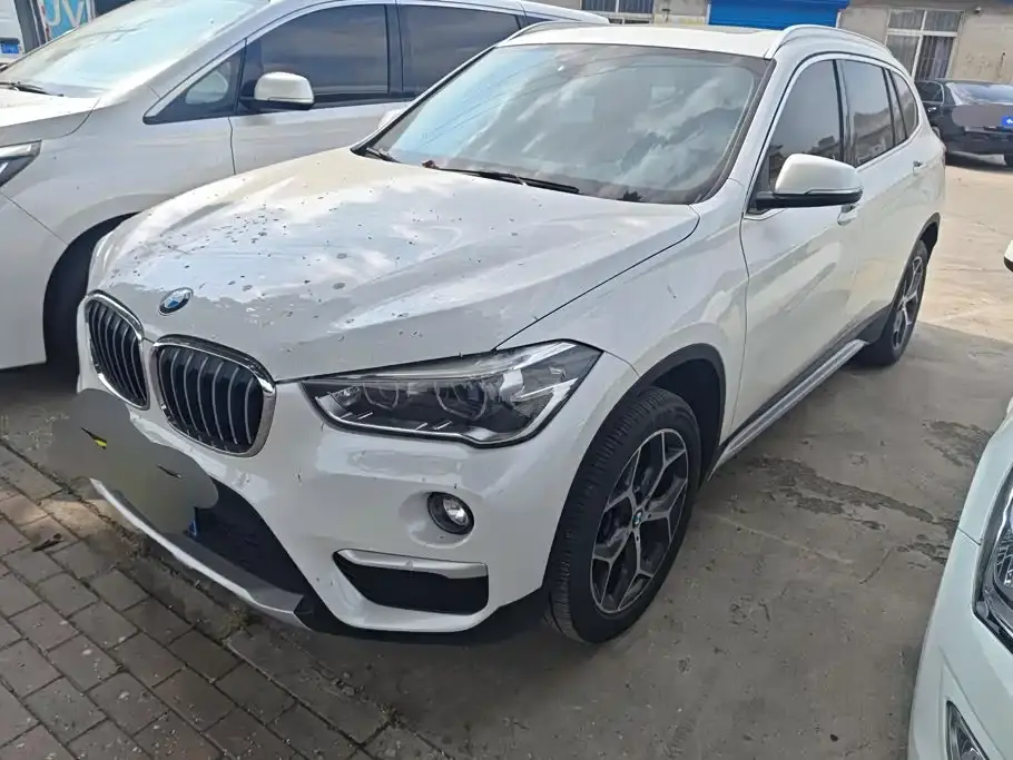 BMW X1 xDrive20Li Premium Model 2019