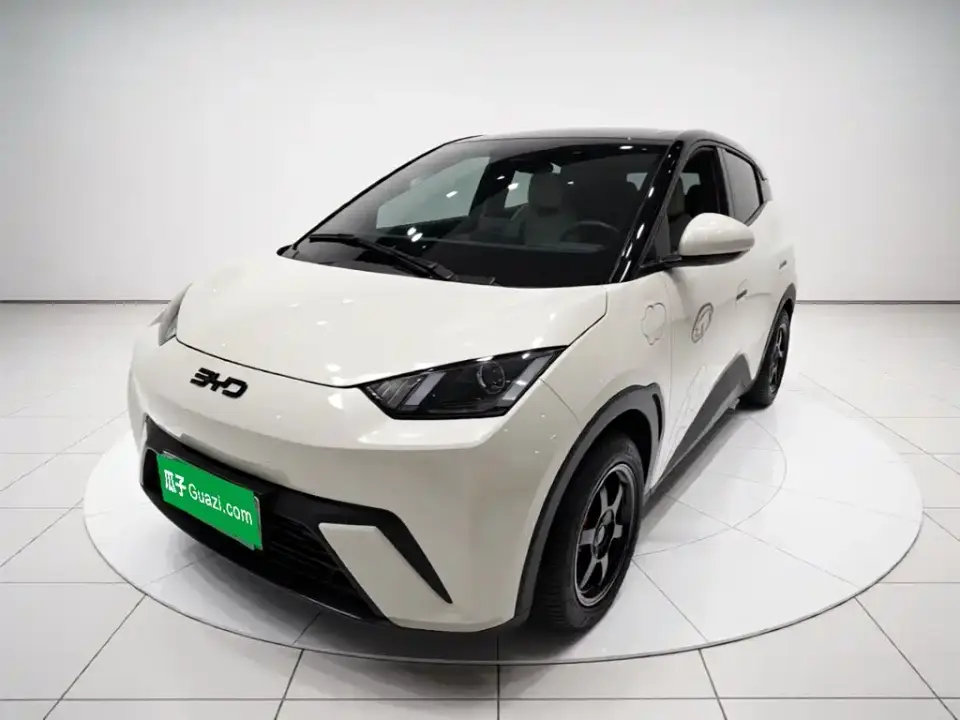 BYD Seagull Glory Edition 305km Vitality Edition 2024