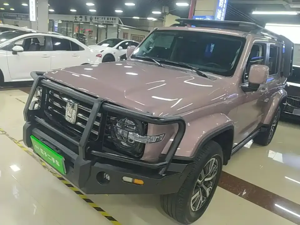 Tank 300 Urban Edition 2.0T Very Stylish 2022