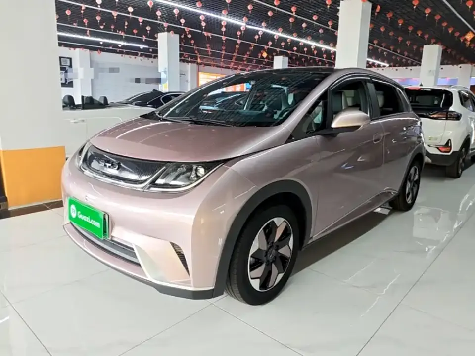 BYD Dolphin Glory Edition 420km Fashion Edition 2024