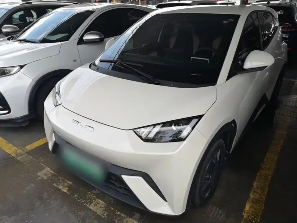 BYD Seagull Vitality Edition 2024