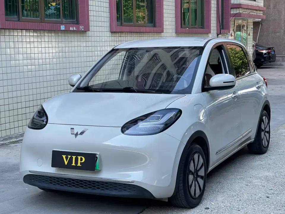 Wuling Motors Wuling Bingo 333km Comfort Edition 2024