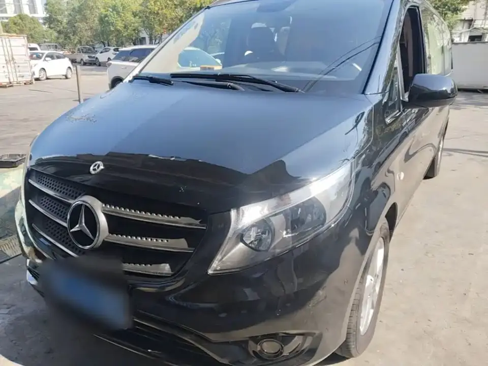 Mercedes-Benz Vito 2.0T Business Edition China VI 2020