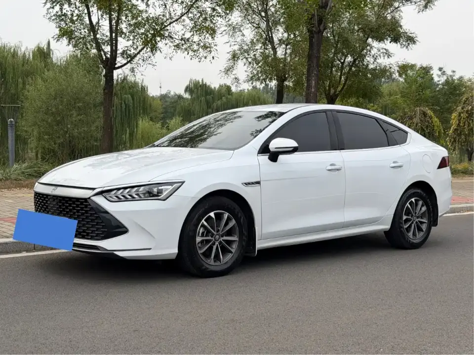 BYD Qin PLUS Glory Edition DM-i 55KM Leading 2024