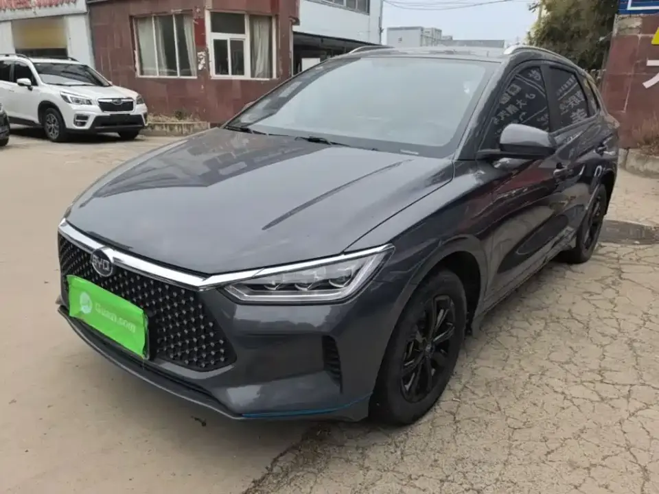 BYD e2 Luxury Edition 2021