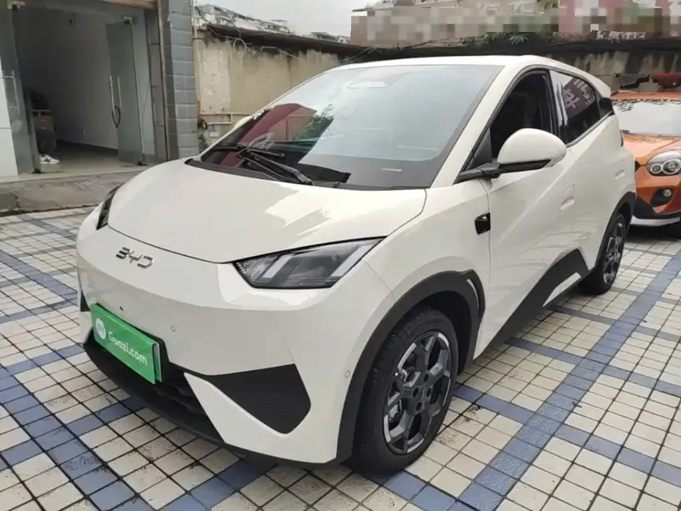 BYD Seagull Smart Drive Edition 305km Freedom Version 2026