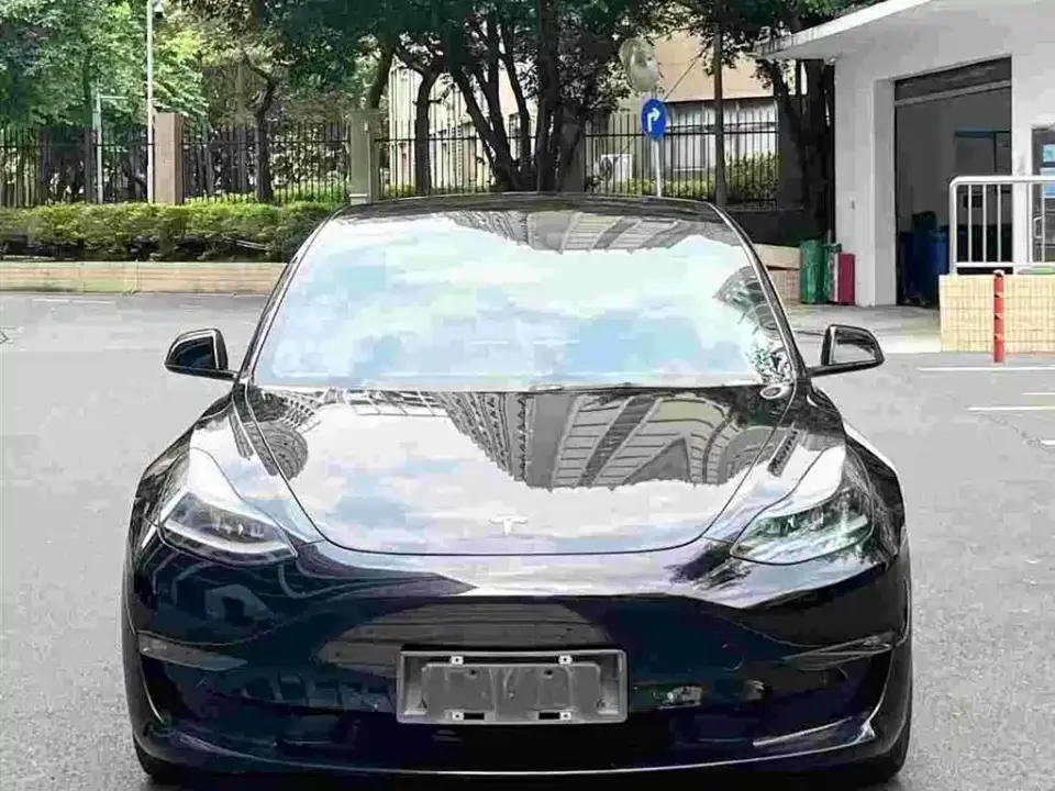 Tesla Model 3 Performance High-Performance All-Wheel Drive 3D6 2021