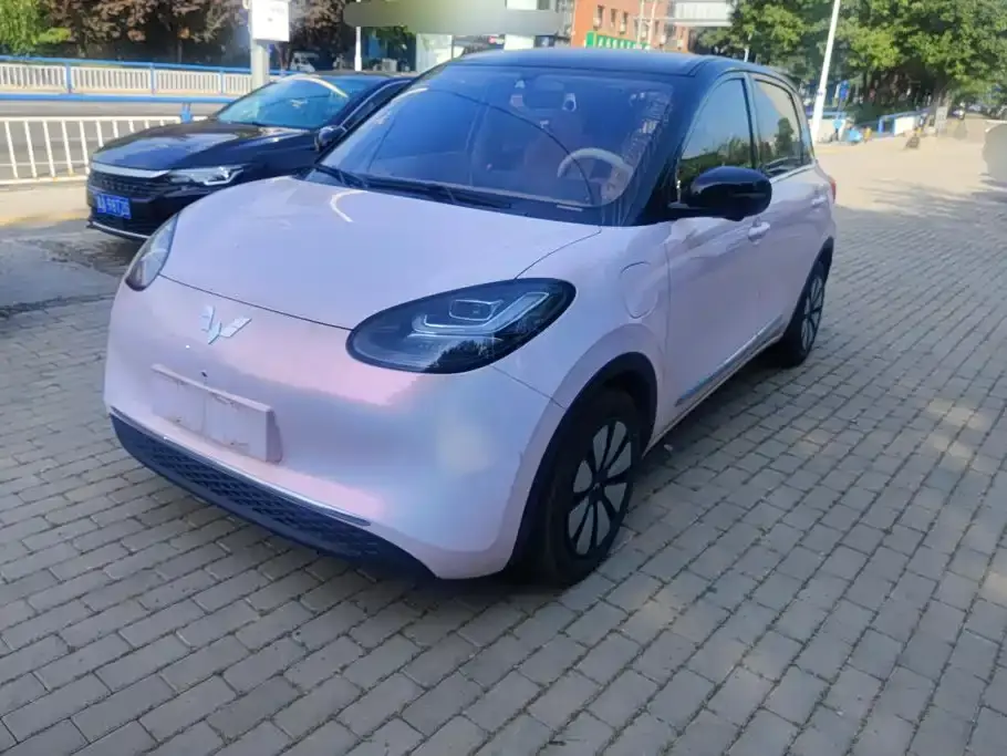 Wuling Motors Wuling Bingo Model 333km Smart Premium 2025
