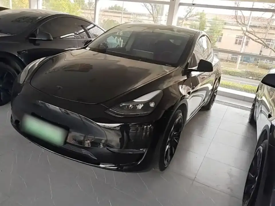 Tesla Model Y Standard Range Rear-Wheel Drive 2021